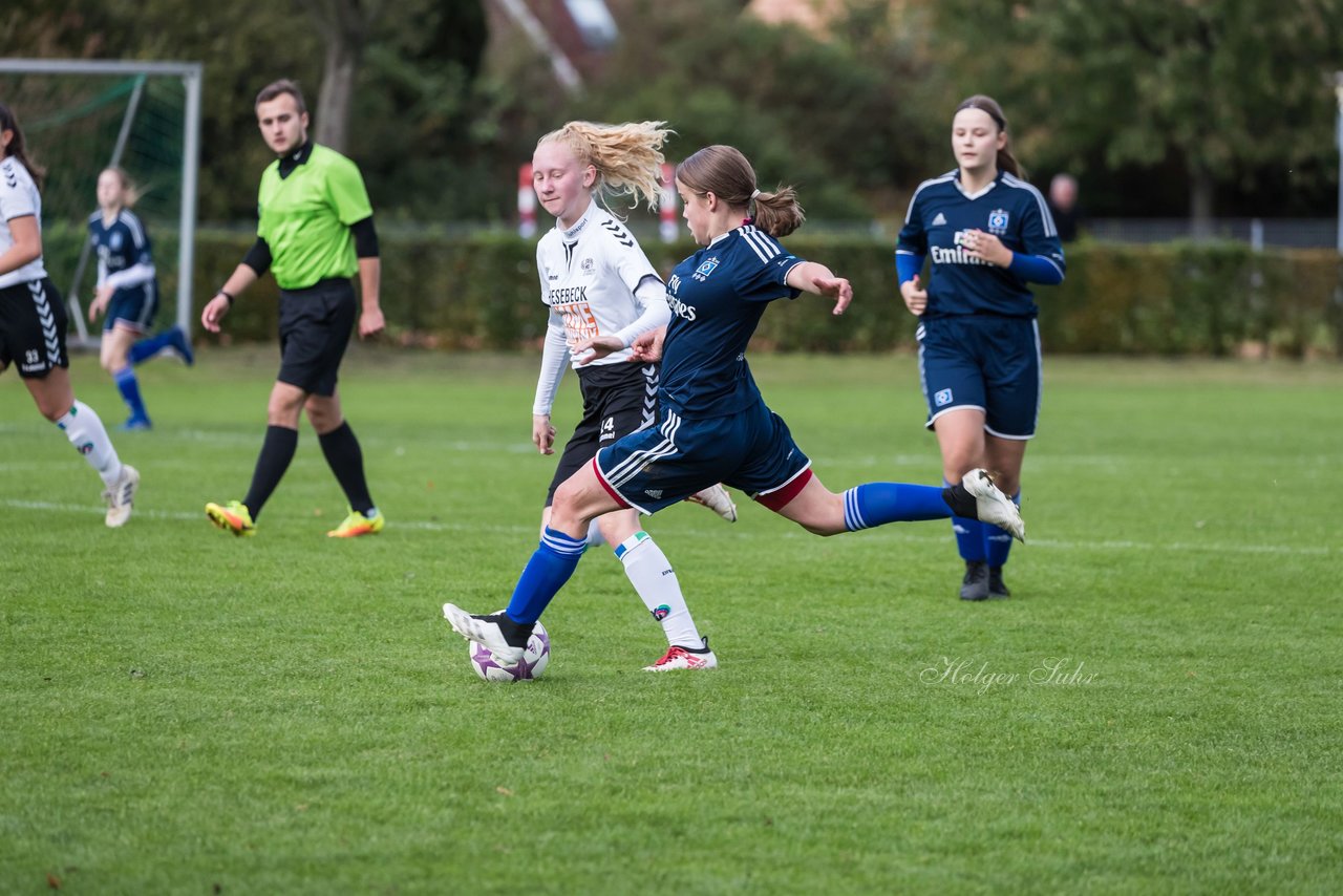 Bild 304 - B-Juniorinnen SV Henstedt Ulzburg - Hamburger SV : Ergebnis: 2:3